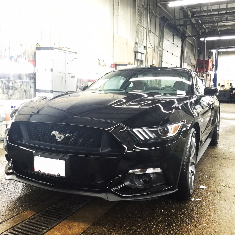 Illustration for article titled 2015 Mustang Underrated